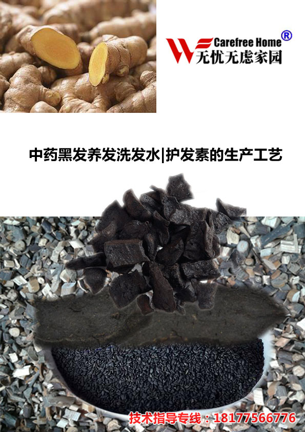 中藥黑發(fā)養(yǎng)發(fā)洗發(fā)水護發(fā)素的生產(chǎn)工藝教材